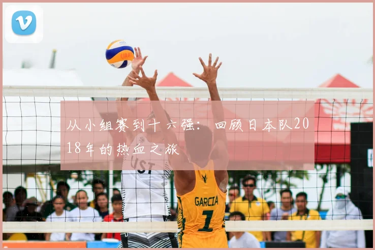 从小组赛到十六强：回顾日本队2018年的热血之旅