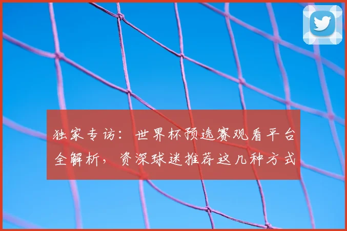 独家专访:世界杯预选赛观看平台全解析,资深球迷推荐这几种方式!