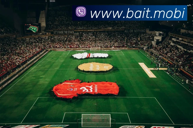 开云手机入口注册APP 体育赛事宣传图